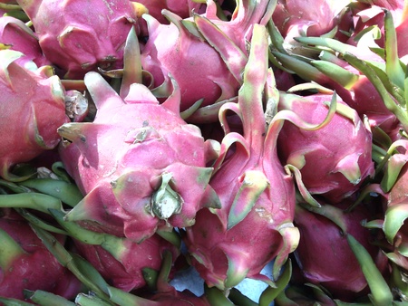 Pitaya