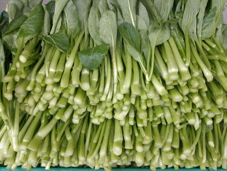 Close up to green vegetablesの写真素材