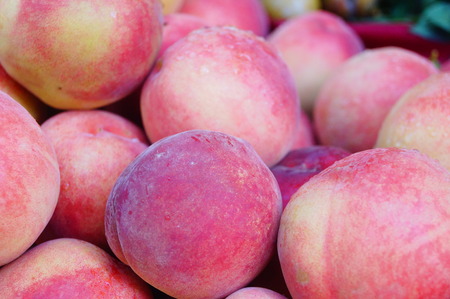 Fresh peachの写真素材