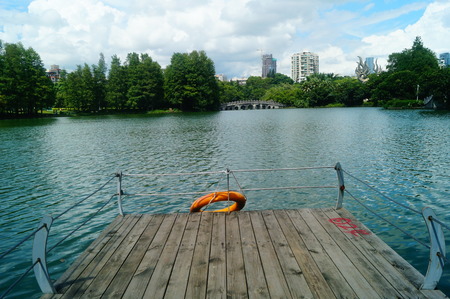 Pond and tree plant landscapeの写真素材