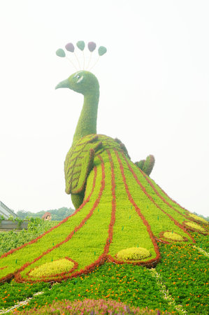 The green giant statue of a peacock,  Shenzhen Garden Expoのeditorial素材
