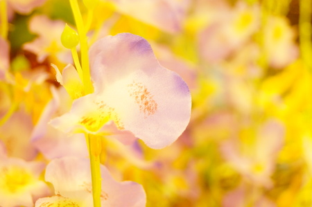 artificial flowersの写真素材