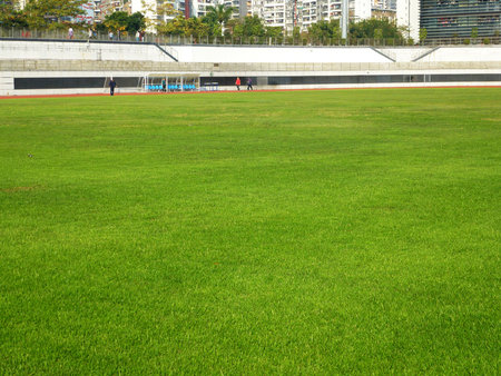 The lawn landscape of the football fieldのeditorial素材