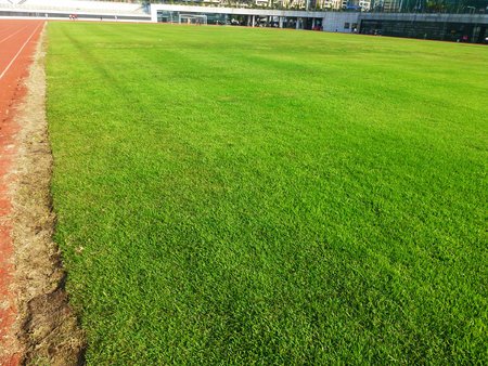 The lawn landscape of the football fieldのeditorial素材