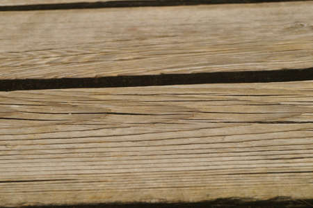 wood texture