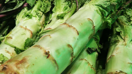 Lettuce and vegetableの写真素材