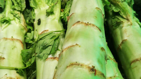 Lettuce and vegetableの写真素材