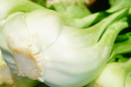 Cauliflower and leafy vegetablesの写真素材