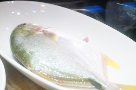 Fresh sea fish are in the kitchenの写真素材