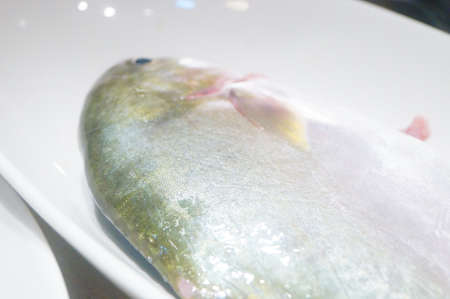 Fresh sea fish are in the kitchenの写真素材