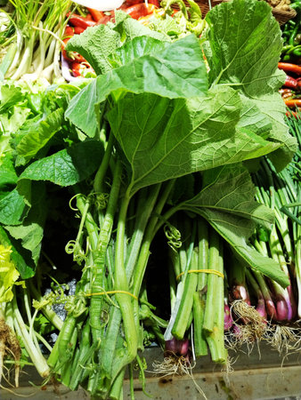 Vegetables at a farmers market. Healthy food and nutrition.の写真素材