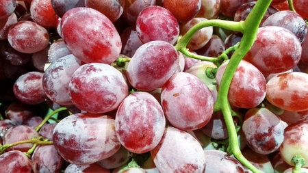 Close up of fresh red grapes for sale at the farmers market.の写真素材