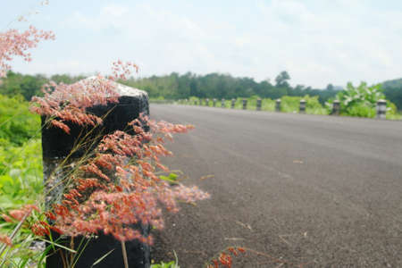 landscape of asphalt road in beautiful nature in Thailandの写真素材