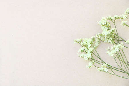 tiny white limonium flower on brown paper background have copy space for put textの写真素材