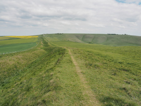Looking towards Milk Hill along the Wansdyke linear earthwork, Wiltshire