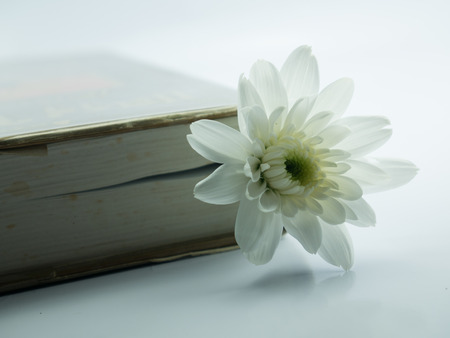 book and flowerの写真素材