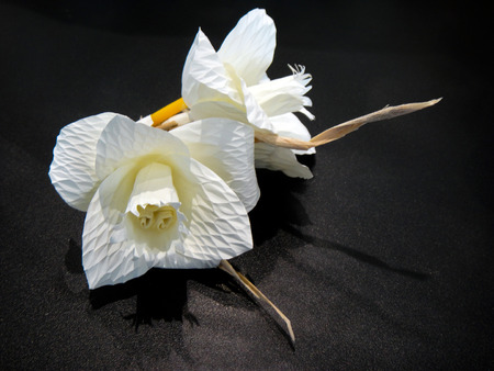 Thai Funeral paper Flower,Kind of wood flower to be placed on the site of cremationの写真素材