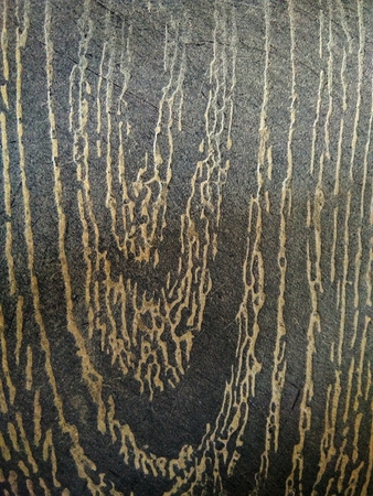 black gold curve wood texture for backgroundの写真素材