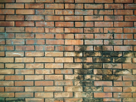 brick wallの写真素材