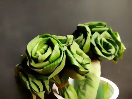 green rose from pandan in cup with black dramatic backgroundの写真素材