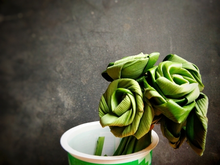 green rose from pandan in cup with black dramatic backgroundの写真素材