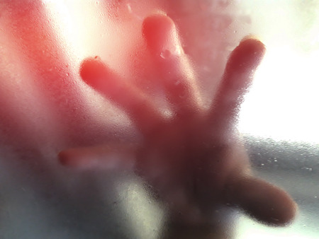 horror hand in the freezer
