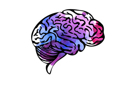 Vector watercolor brain, creativity concept illustrationのイラスト素材