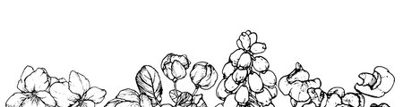 Spring flowers drawing with line-art on white backgroundのイラスト素材