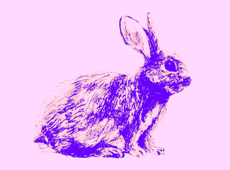 Hand Drawn Sketch Rabbit for Your Design. Psychedelic bunny