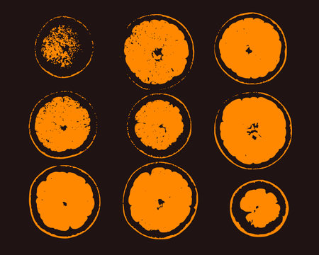 Grunge Vector Print of Orange Fruit Slices. Minimal Citrus Illustration in Bold Orange and Black Paletteのイラスト素材