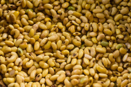 Soybeanの写真素材