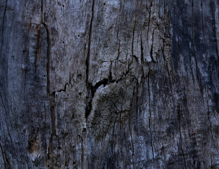 A close-up of weathered tree bark with intricate cracks, rough textures, and a moody color palette. The deep details reveal the passage of time, making it a compelling nature-inspired abstract compositionの写真素材