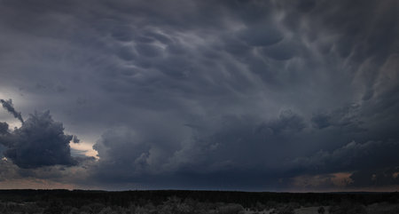 A panoramic view of mammatus cloud formations rolling above a dense forest landscape. The dark, ominous sky signals an approaching thunderstormの写真素材
