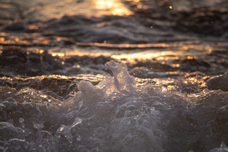 A close-up of ocean water caught mid-splash, backlit by the soft golden light of a setting sun. Droplets and foam are suspended in the air.の写真素材