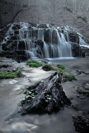 A cascading waterfall spills gently over dark forest rocks, while an old tree trunk sits rooted in the flowing water. The scene is filled with subdued colors and quiet lightの写真素材