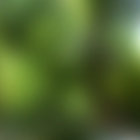 Abstract green background template. Blurred Defocused Lights.の写真素材