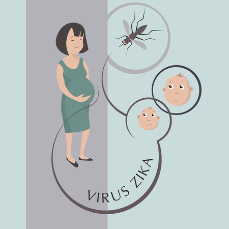 Zika virus outbreak concept. Transmitted by Aedes aegypti mosquito and it is linked to cause microcephaly on infected pregnant women. Vector eps 10のイラスト素材