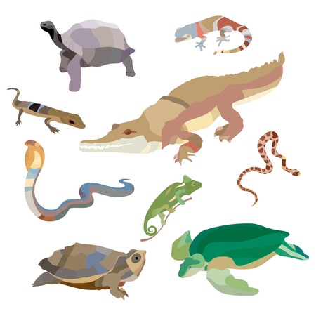 Reptiles and amphibians decorative set of lizard, crocodile, turtle, cobra, snail icons in cartoon style isolated. Vector illustrationのイラスト素材