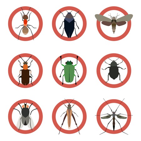 Pest insects control icons. Collection danger ants. Vectorのイラスト素材