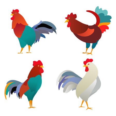 Vector illustration of rooster, symbol of 2017 on the Chinese calendar. Silhouette of red cock, decorated with floral patterns. Vector element for New Years design. Image of 2017 year of Red Rooster.のイラスト素材