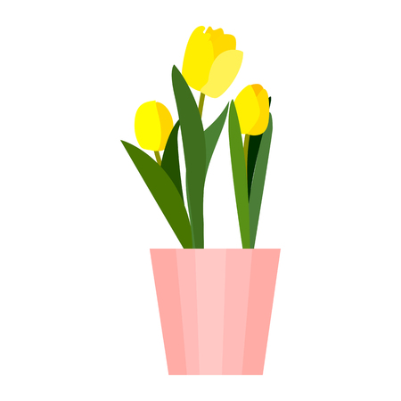 Yellow house tulips plant in pot. Green leaf tulip flower flat. Vectorのイラスト素材