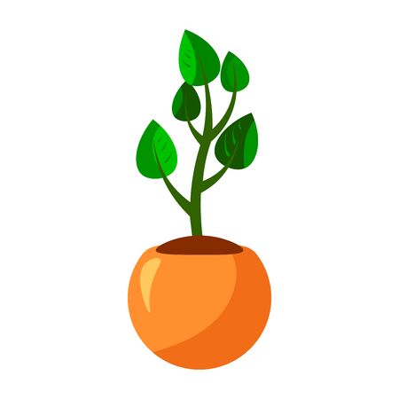 Cartoon green flower inside house plants in pot. Leaf and flowers icon. Flowerpot isolated object, houseplant flower pot collection. Vector illustrationのイラスト素材