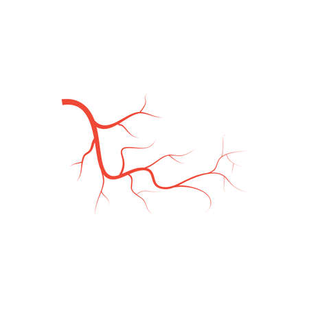Human red eye veins, anatomy blood vessel arteries illustration. Vector medical eyeball vein arteries system map. Veins in flat style isolated on white backgroundのイラスト素材