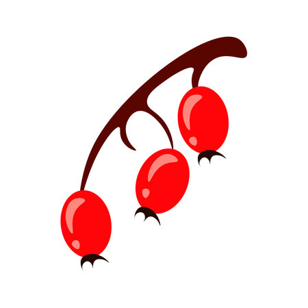 A branch with three cherries hanging from it.のイラスト素材