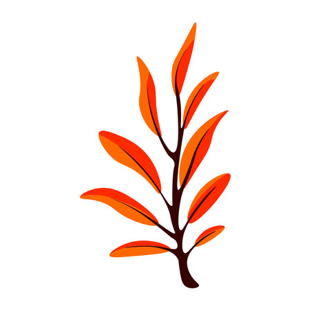 A branch displaying vibrant orange leaves against a white backdrop.のイラスト素材