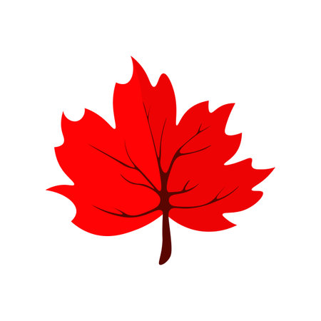 A vibrant red leaf resting on a clean white surface.のイラスト素材