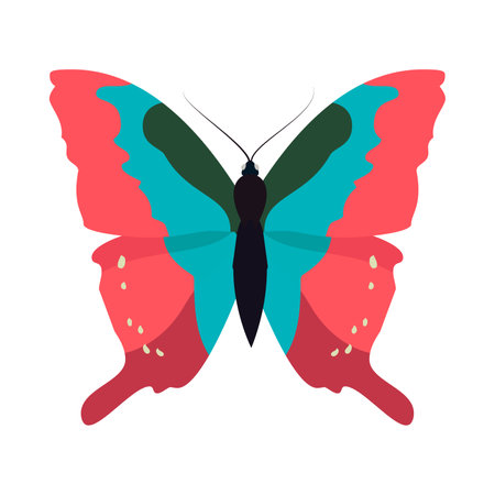 A vibrant butterfly with intricate patterns and bright colors perched gracefully on a plain white background.のイラスト素材