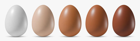 Vector of five realistic chicken eggs in varying shades, showcasing smooth textures. Ideal for Easter designs, mockups, or culinary themes illustration.のイラスト素材