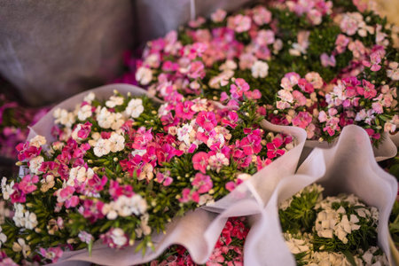 Flowers with dark toned color and selective focus.の写真素材