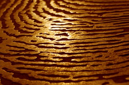 pathway pattern 2の写真素材